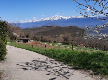 Percorso Marcia Claix - Plateau du Peuil - Le Gampas - Photo