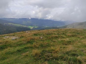 Trail Walking Wasserbourg - Boenlesgrab - Photo