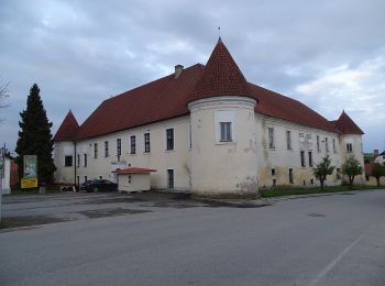 Tocht Te voet Zvěstov - [Ž] Louňovice pod Blaníkem - Roudný - Photo