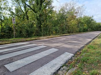 Percorso Marcia Chauffour-lès-Étréchy - Chauffour-lès-Etréchy - Coteau des Verts Galants - Photo