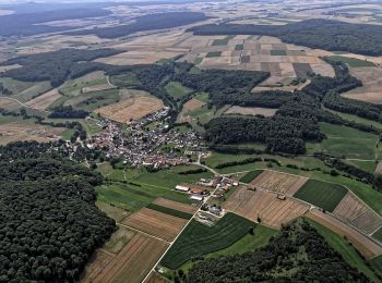 Tour Zu Fuß Liebenau - Zwergen - Z2 - Photo