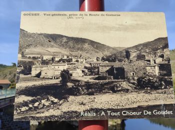 Trail Walking Goudet - Randonnée en boucle au dessus de Boudet - Photo