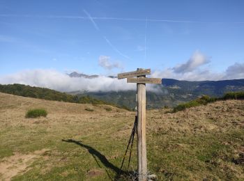 Randonnée Marche Prades - Le col de Rieufred  - Photo