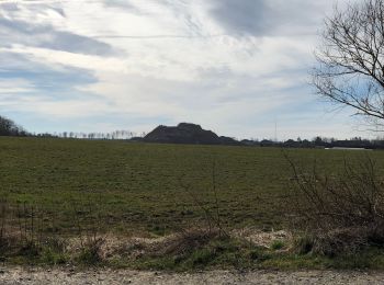 Tocht Stappen Florennes - Balade Florennes-Chaumont - Photo