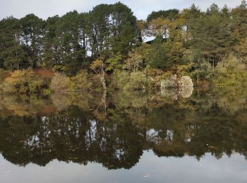 Excursión Senderismo Muzillac - tour de l'étang de penmur - Photo