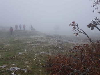 Tour Wandern Engins - Engins - Molière - Malatra - Sornin - Photo