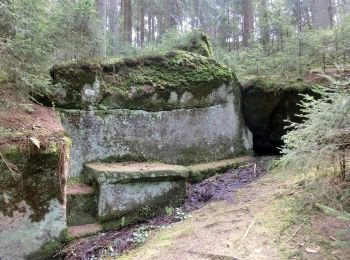 Excursión A pie Eckersdorf - Mistelbach Rundwanderweg 