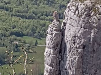 Randonnée Marche Saint-Martin-en-Vercors - La Sambue  - Photo