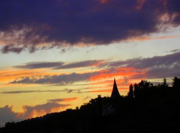 Tour Zu Fuß Zürich - Limmat-Uferweg - Photo