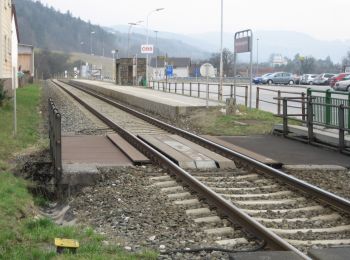 Tocht Te voet Gemeinde Warth - Leidinger Weg (Ausgangspunkt: Petersbaumgarten Kapellenplatz) - Photo