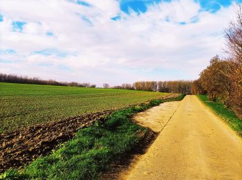 Randonnée Marche Geer - La promenade du Geer  - Photo