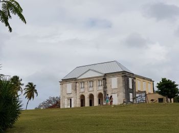 Randonnée Marche Grand-Bourg - Marie Galante- Sentier Murat - Photo