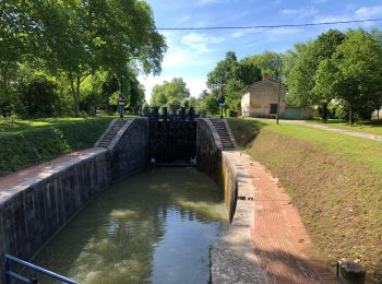 Tocht Mountainbike Avignonet-Lauragais - Port Lauraguais - Canal du midi - Photo