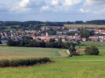 Excursión A pie Altdorf - Pfettrach Rundwanderweg 1 - Photo