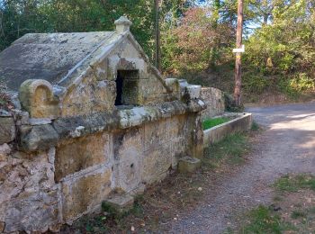 Randonnée Marche Rennes-les-Bains - Rennes-les-Bains  le pech Cardou - Photo