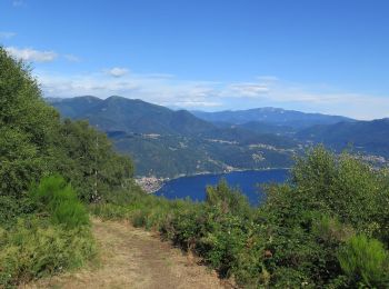 Percorso Corsa a piedi Trarego Viggiona - Monte Carza - Photo