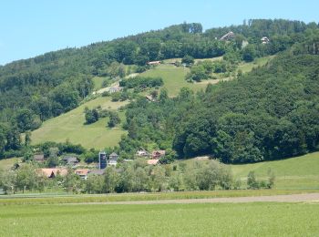 Randonnée A pied Toffen - Toffen - Belp - Photo