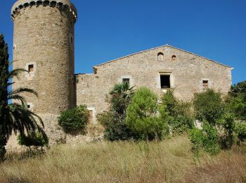 Tocht Te voet Torroella de Montgrí - Ruta del Vent - Photo