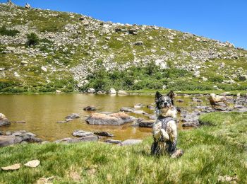 Randonnée Marche Bastelica - LAC de RINA - Photo