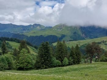 Tour Wandern Les Gets - morzine col du mont chery - Photo