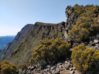 Tour Wandern Saint-Paul - Grand Bénard depuis le Maïdo - Photo