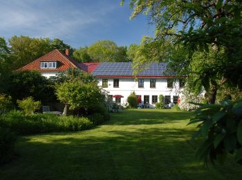 Tocht Te voet Kellenhusen - Wald- und Wellen-Route, Kellenhusen - Photo