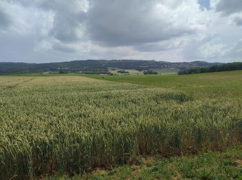 Excursión Bici de carretera Déservillers - vélo  - Photo