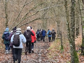 Tocht Stappen Montauville - montauville - père hilarion - Photo