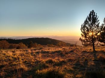 Tocht Stappen Saint-Vallier-de-Thiey - couche de soleil au col du ferrier  - Photo