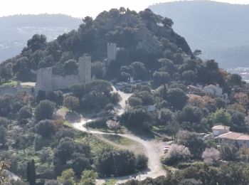 Tocht Stappen La Crau - La Crau, Fenouillet, Château d'Hyères - Photo