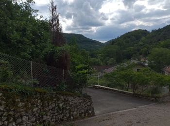 Randonnée Marche Besançon - tour Besançon  - Photo