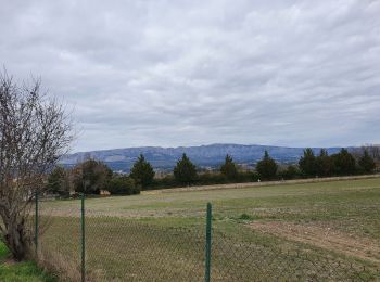 Tocht Stappen Peynier - Dalbessy - Photo