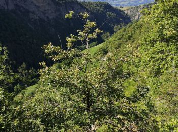 Randonnée Marche nordique Icogne - bisse du claveau  - Photo