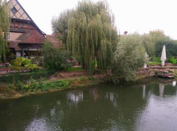 Randonnée Marche Illhaeusern - Illhausern Le sentier des Ried, voie romaine  - Photo