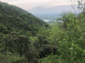 Excursión Senderismo Glun - Glun Ardèche  - Photo