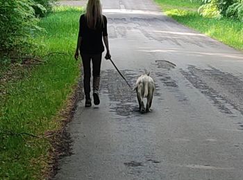 Tocht Stappen Habay - thibessart - Photo