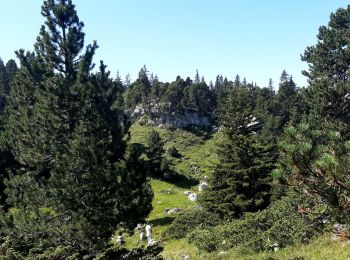 Percorso Marcia Sainte-Marie-du-Mont - col de l'Alpes - Photo