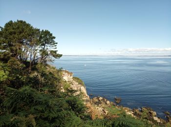 Excursión Senderismo Douarnenez - Ballade 01 - Mise en jambe - Photo