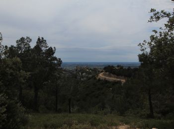 Excursión Bici de montaña Saint-Rémy-de-Provence - De saint Remy au baux de Provence . - Photo