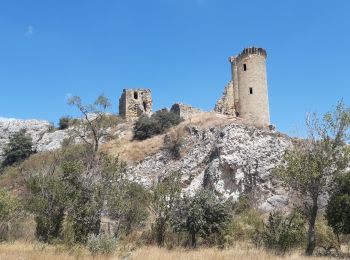 Randonnée Marche Châteauneuf-du-Pape - Ch. du Pape - Château de l'Hers - Photo