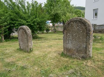 Tocht Te voet Diemelsee - Heringshausen H4 - Photo