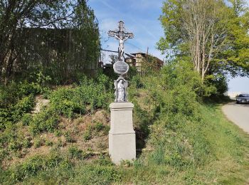 Percorso A piedi Hluboká nad Vltavou - Hosín-Hluboká nad Vltavou-Pod Janečkem - Photo