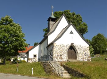 Tocht Te voet Neuschönau - Zaunkönig - Photo