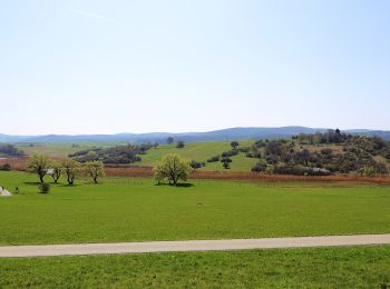 Excursión A pie Draßburg/Rasporak - Draßburg - Kogel (Nordic Walking) - Photo