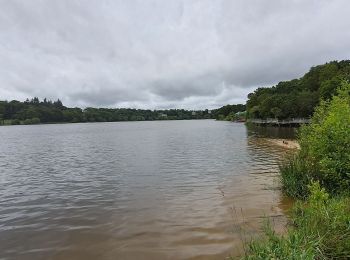 Excursión Senderismo Jugon-les-Lacs Commune nouvelle - jugon le lac - Photo