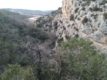 Excursión Senderismo Saint-Julien - Le drapeau depuis Les Hugous+ petite incursion dans Malavalas - Photo