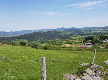 Trail Walking Le Puy-en-Velay - Chemin de Stenvenson 1 - Photo