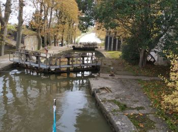Tour Motorboot Mas-Saintes-Puelles - Jour 7-Retour vers Bram - Photo