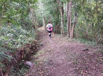 Randonnée Marche Le Prêcheur - Sentier Martineaud  Le Prêcheur - Photo