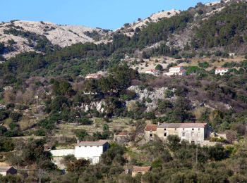 Tour Zu Fuß  - Kamenjak od uvale Mišnjak - Photo